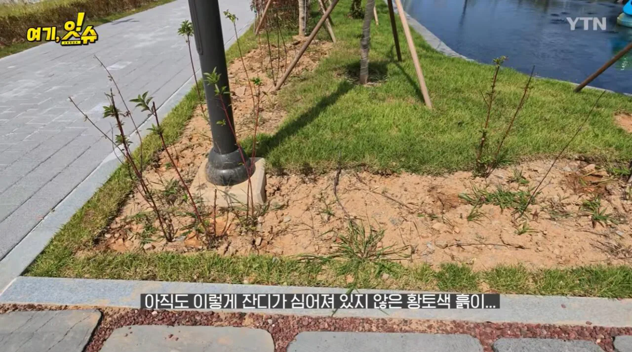 섬 박람회를 직접 가보니 화가 난다는 기자 ㄷㄷ