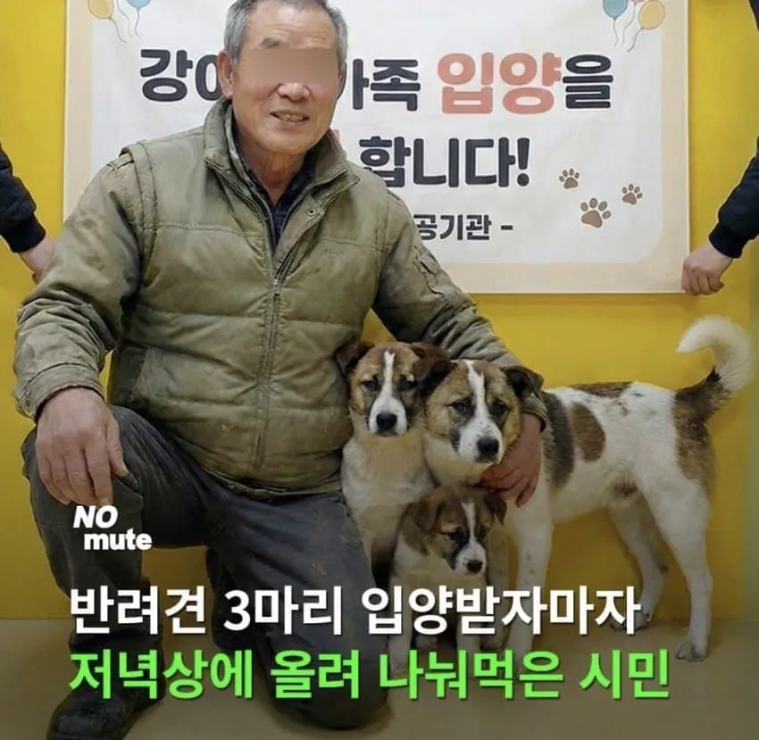 image.png 약혐) 반려견 3마리를 분양받았던 70대 노인