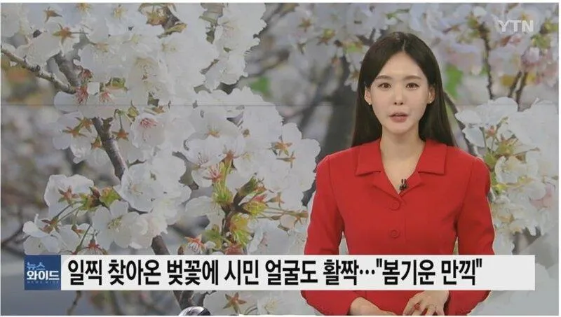 182326de178782523a71d7c56a03d2f8.jpg 뉴스에 나온 커플의 돌발행동...gif