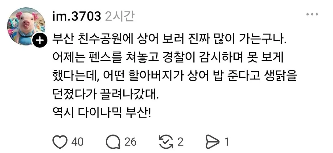 KakaoTalk_20260920_075623926.jpg 제작비0원인데 여수박람회보다 인기 있다는 부산 축제 상황.jpg