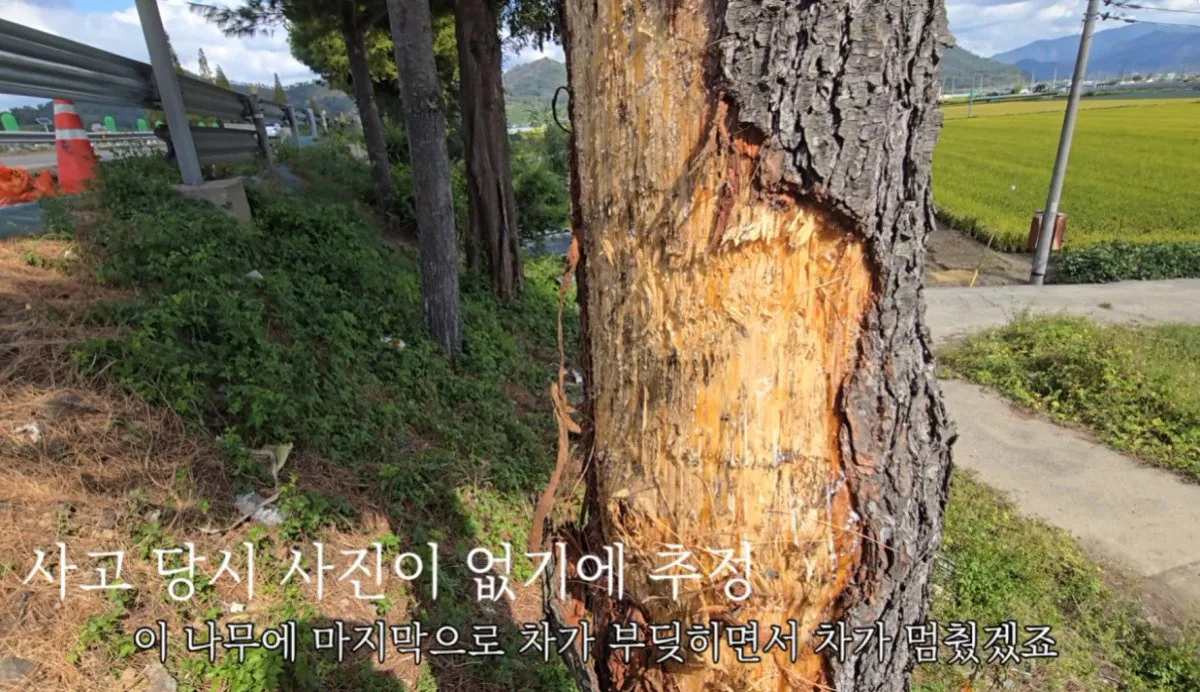 인디아나 웁스 (61).bmp.ren.jpg 스압 ) 금속탐지기로 고인의 유품을찾아준 유튜버