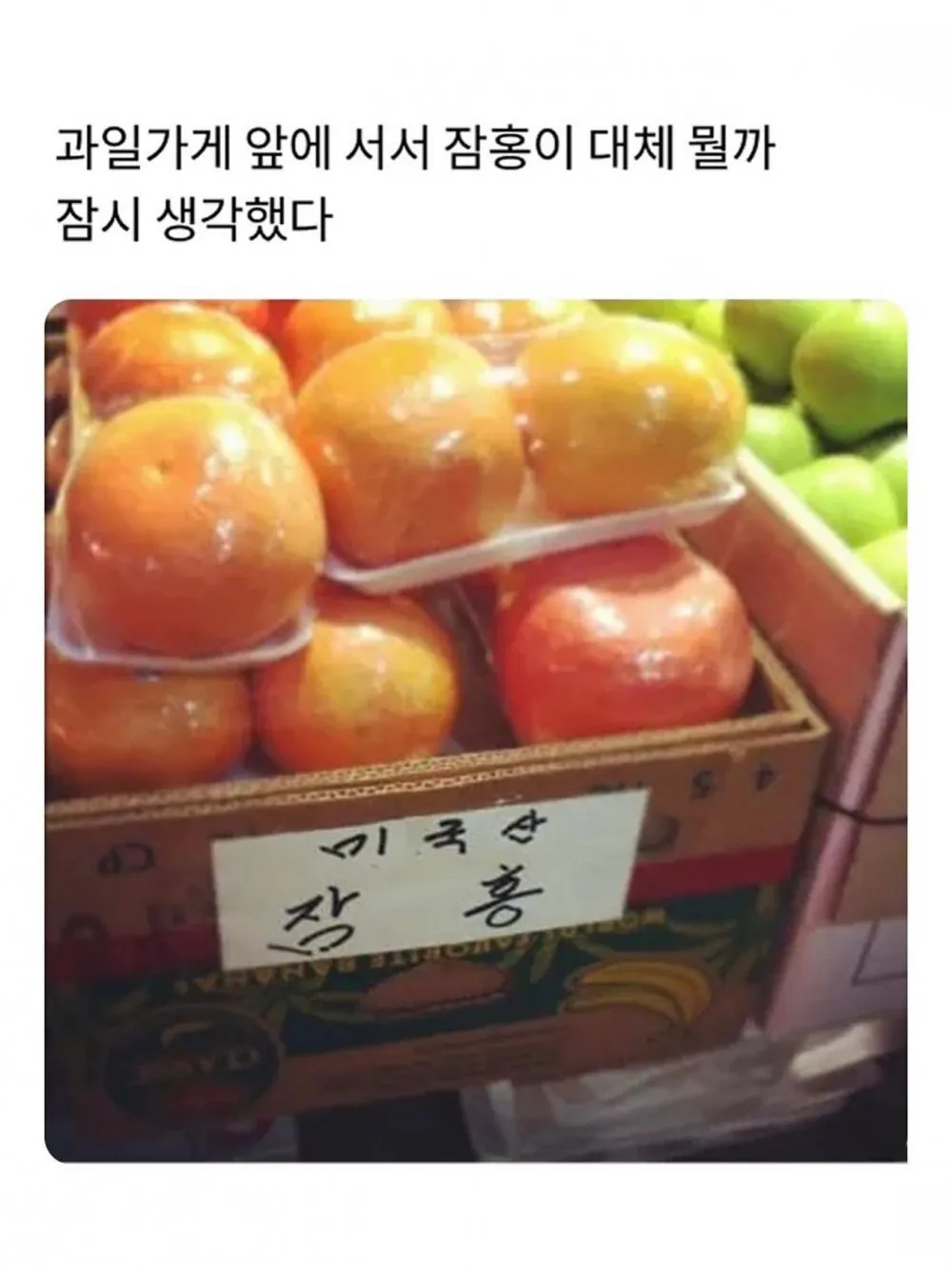 117.jpg 불쌍해서 구매할 수 밖에 없는 복숭아