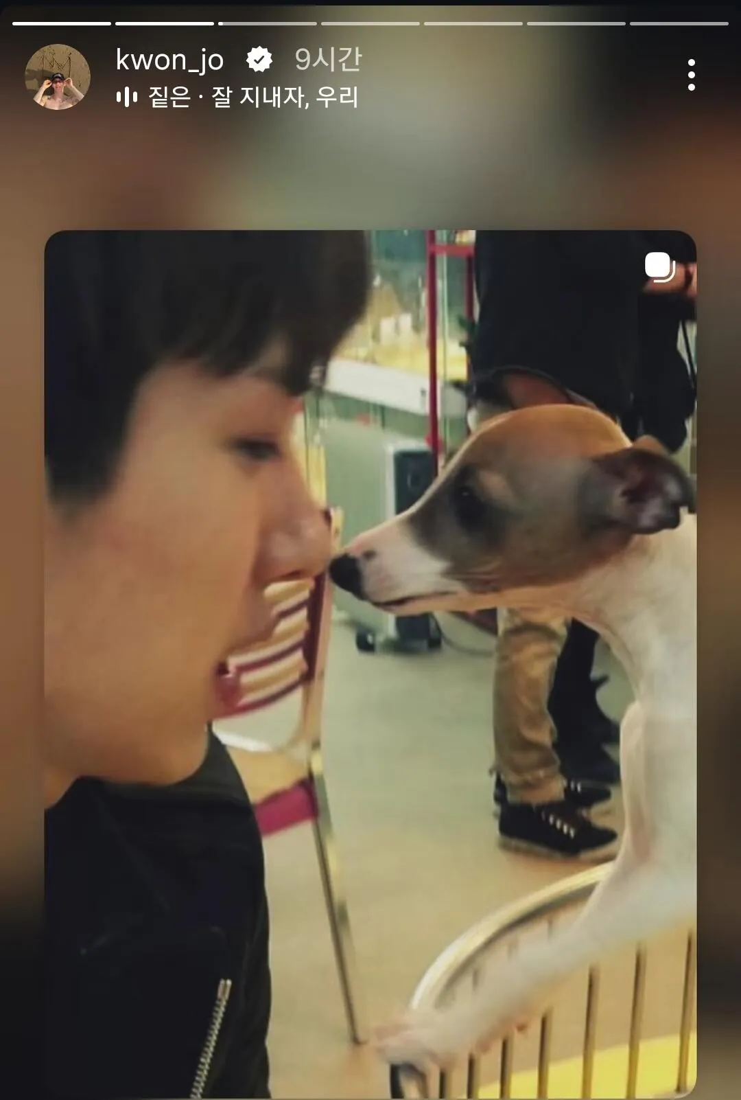 오래 키운 반려견을 보낸 조권 근황.jpg