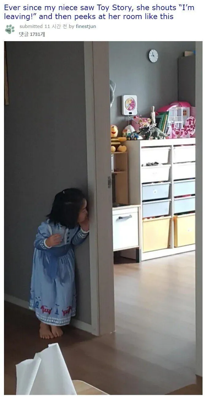 7aa8742ec24ece719238ee94b2bff6d5.jpeg 토이스토리를 본 후 조카의 반응.jpg