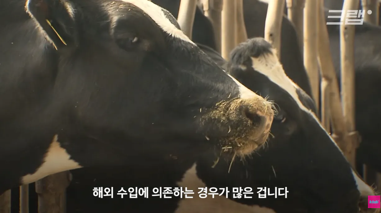 우유 (30).png 40년만에 최저수준을 찍었다는 국산우유 소비