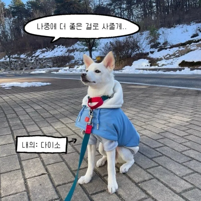개를 키우기전에 했던 생각.manhwa