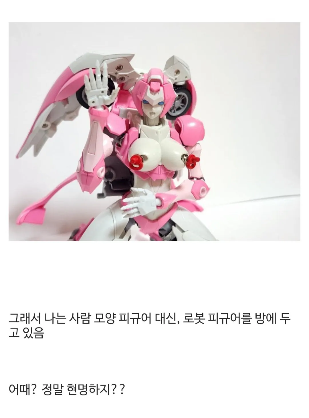 Screenshot_20260516_170539(1).jpg ㅇㅎ) "집에 사람 모양 장난감 두지 마세요"