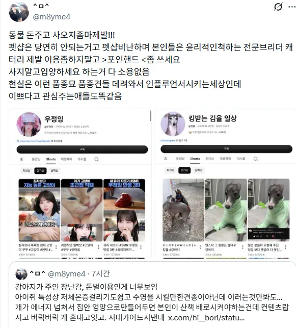 15670.webp 지금 우정잉과 킹율이 트페미들한테 죽도록 물어뜯기고 있는 이유