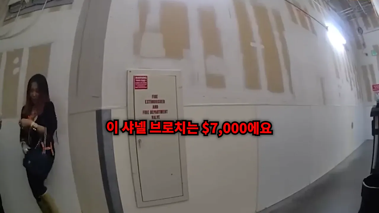 스크린샷(1195).png 미국 명품 매장에서 물건 훔치다 잡힌 베트남 스타