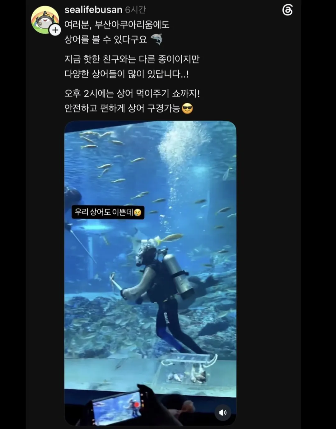 Hh1.jpg 부산 아쿠아리움 댓글 근황
