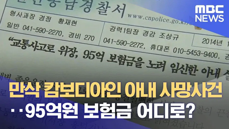 image.png 보험업계의 전설이 되버린 95억 만삭 임산부 사망보험 사건