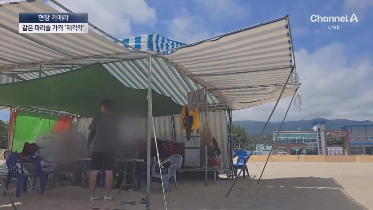 1 (18).jpg "바가지 싫으면 바다 오지마"... 정부 발표에도 여전한 바가지