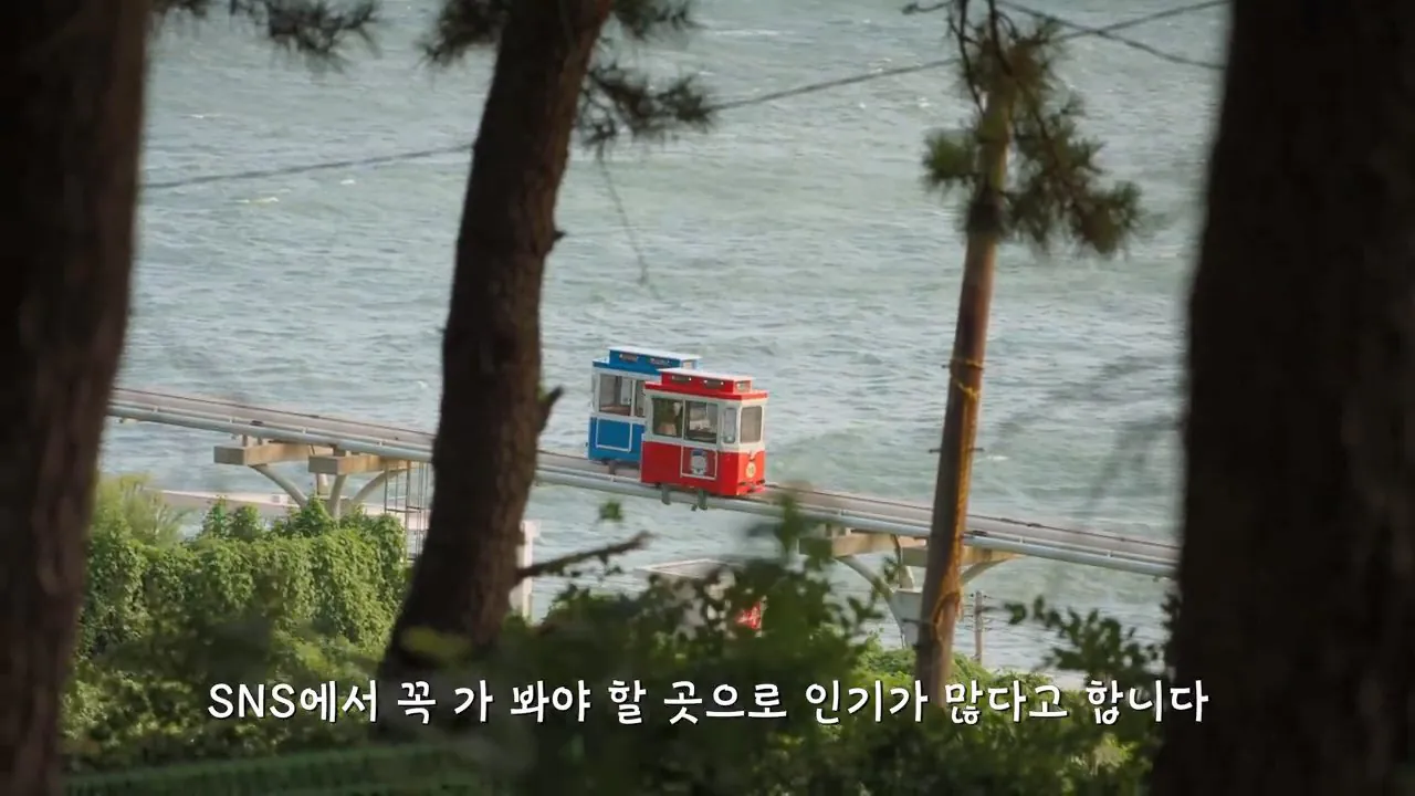 요즘 부산 관광지에서 벌어지고 있는 충격적인 변화.mp4_20260929_095258.894.jpg 지금 부산에 여행온다고 외국인들이 몰리는 이유