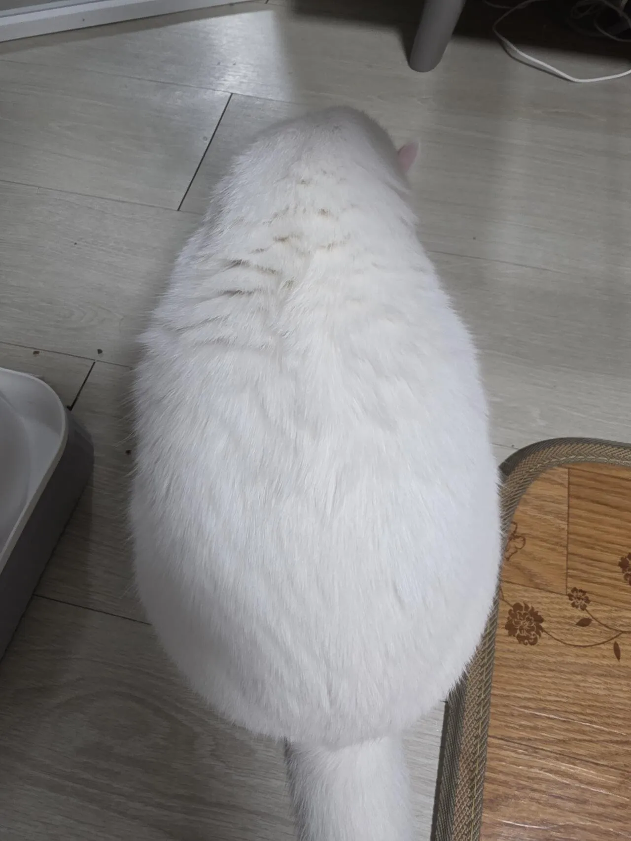 여기 진짜 아무거나 포텐보내주냐?