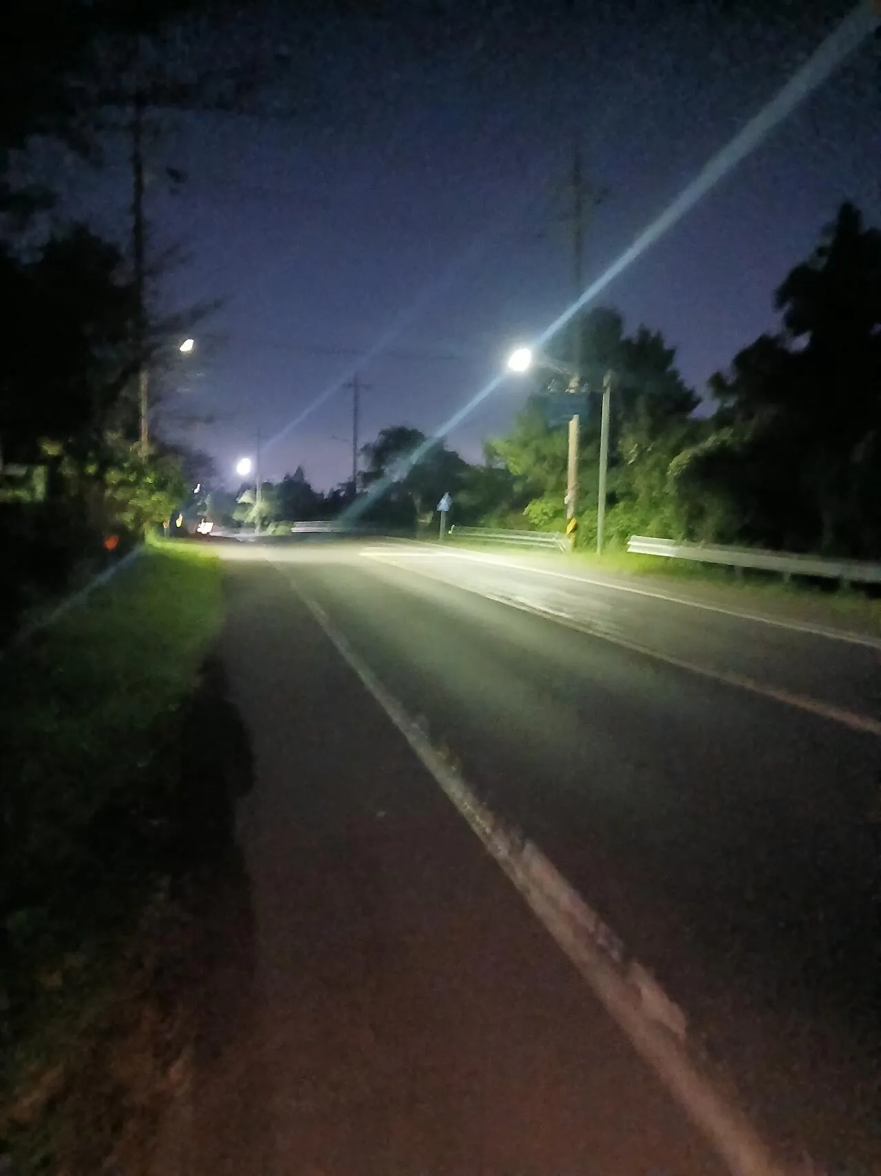 1000029360.jpg 혐주의) 제주도 뱀 수색 작전 1