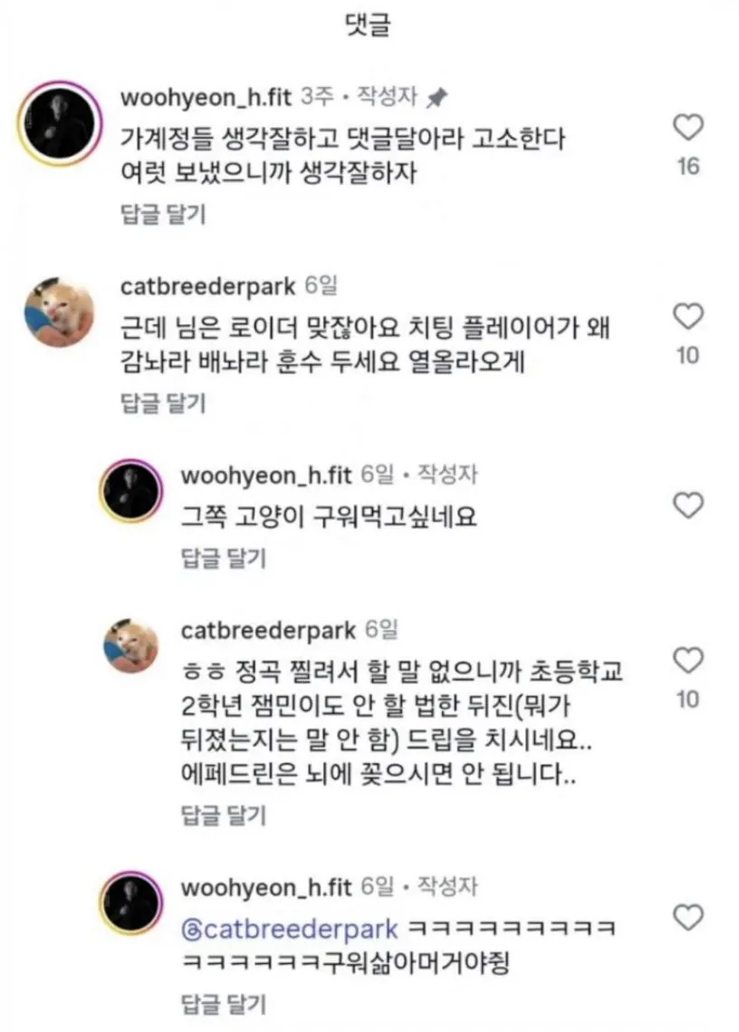 보디빌더 박우현 고양이 발언