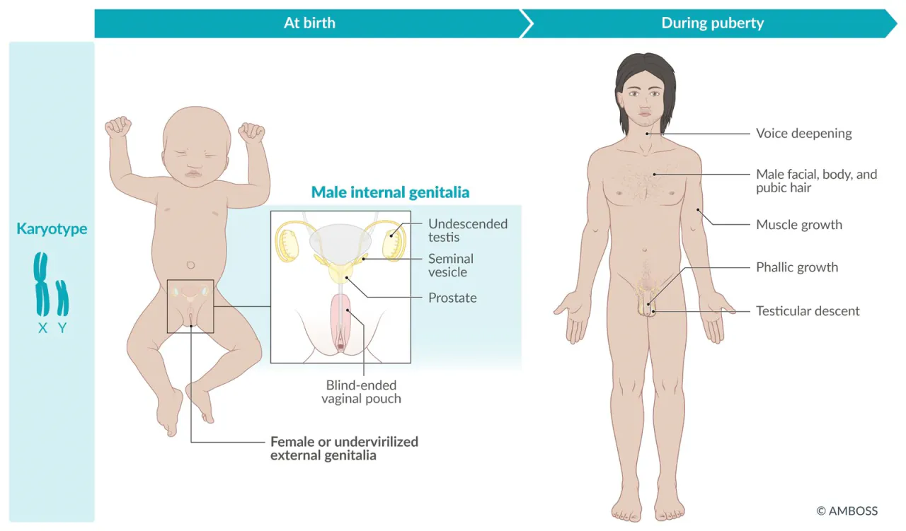 image.png 알고보면 쓸데없지만 신기한 탈모약 프로페시아 이야기.jpg