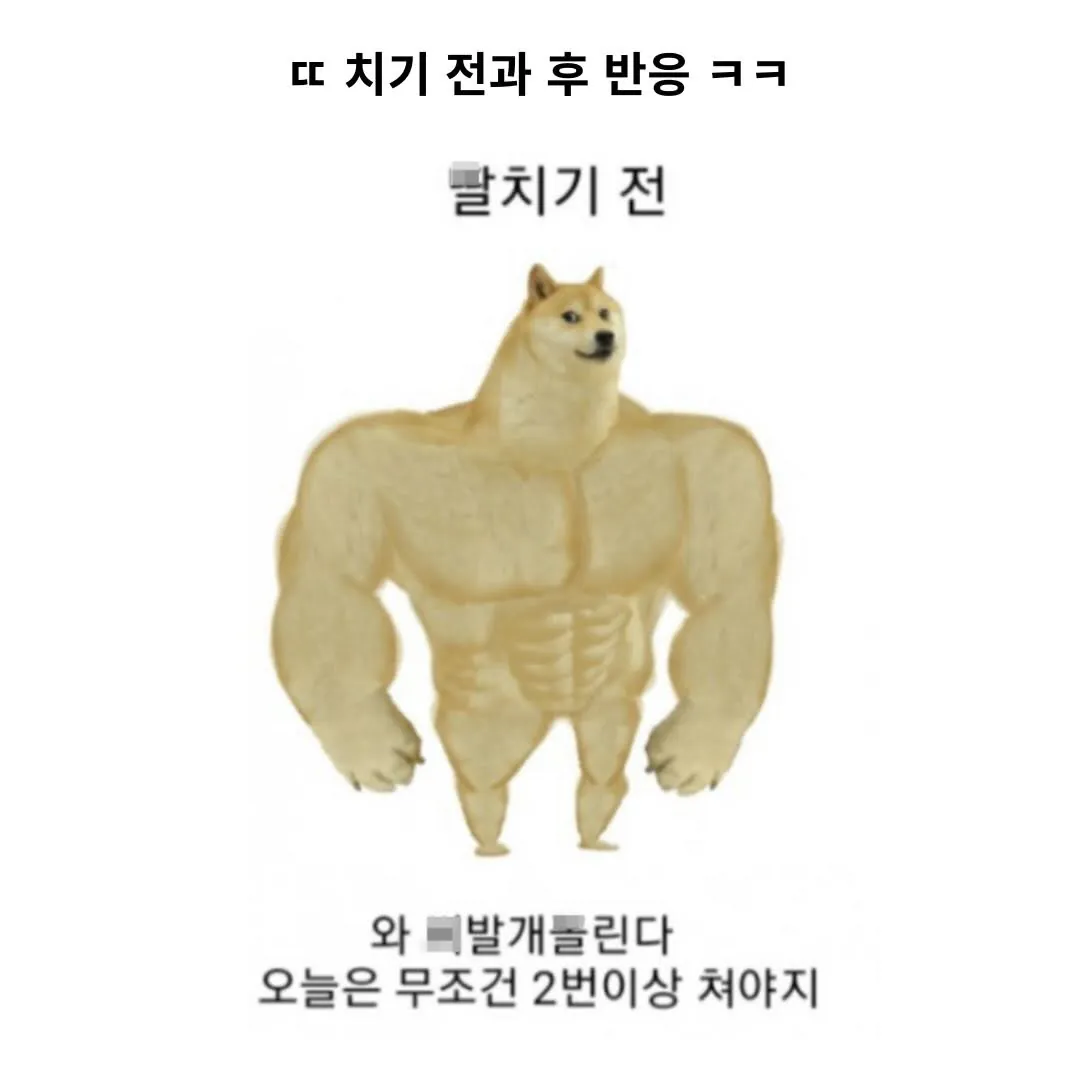 1658.jpg 딸치기 전과 후 반응