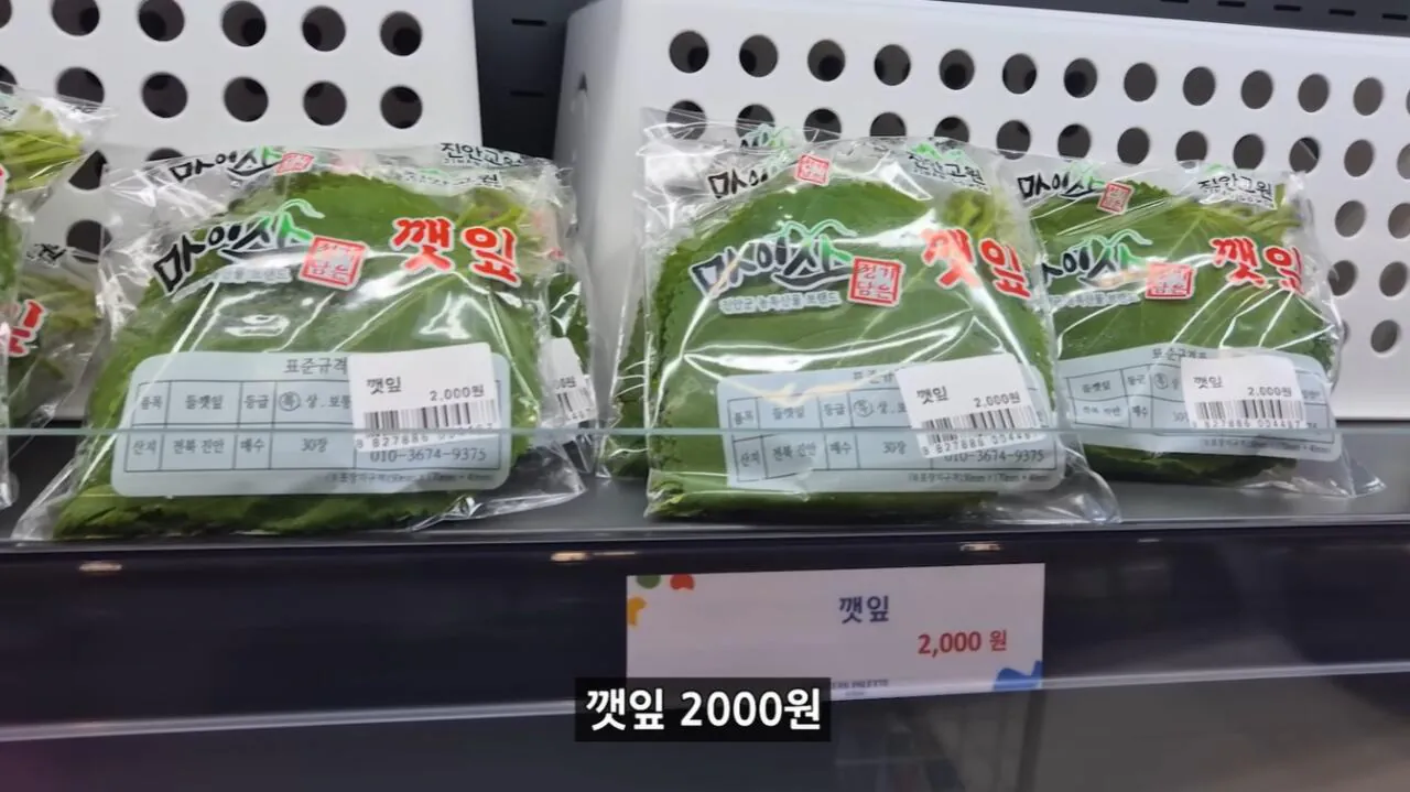 K-022.jpg 정부 예산 430억으로 새로 만든 워터파크 후기.jpg
