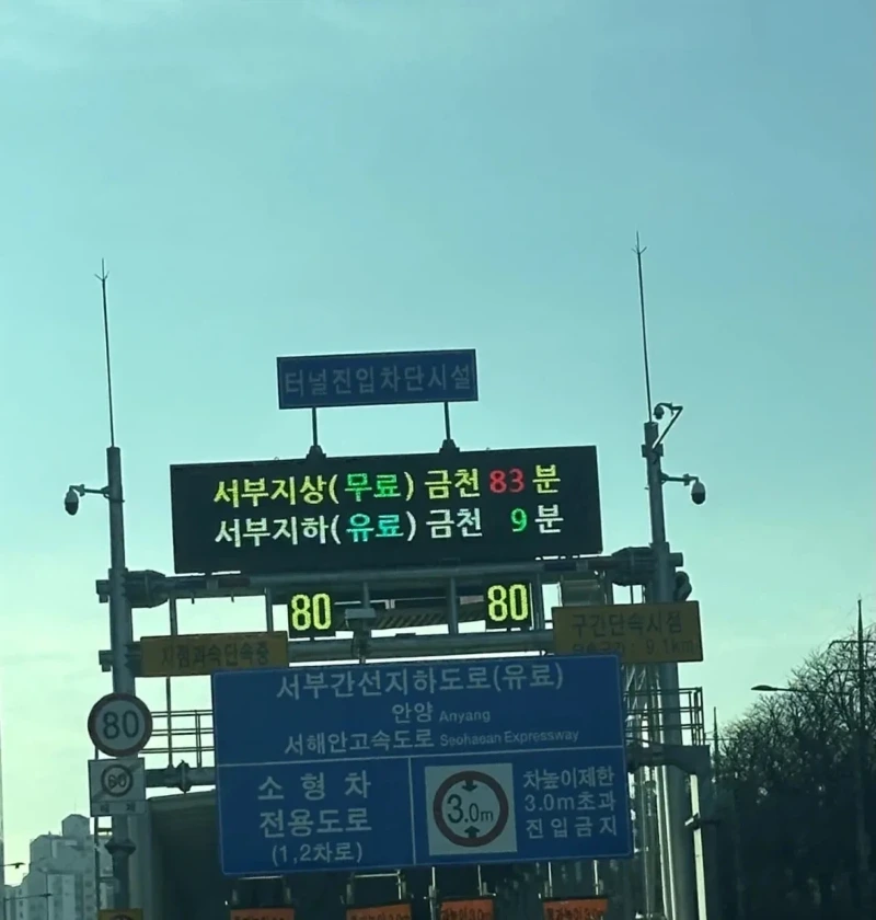 23598.webp 과금 vs 무과금