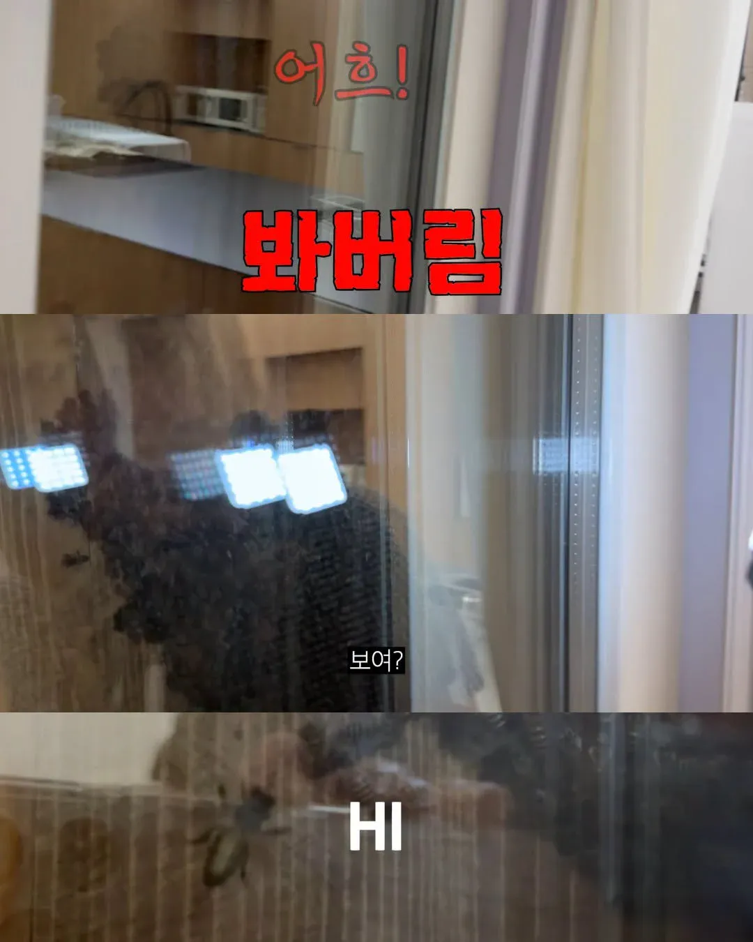 Internet_20261025_084350_4.webp 2주만에 제주도 집 갔다가 119 부른 김숙