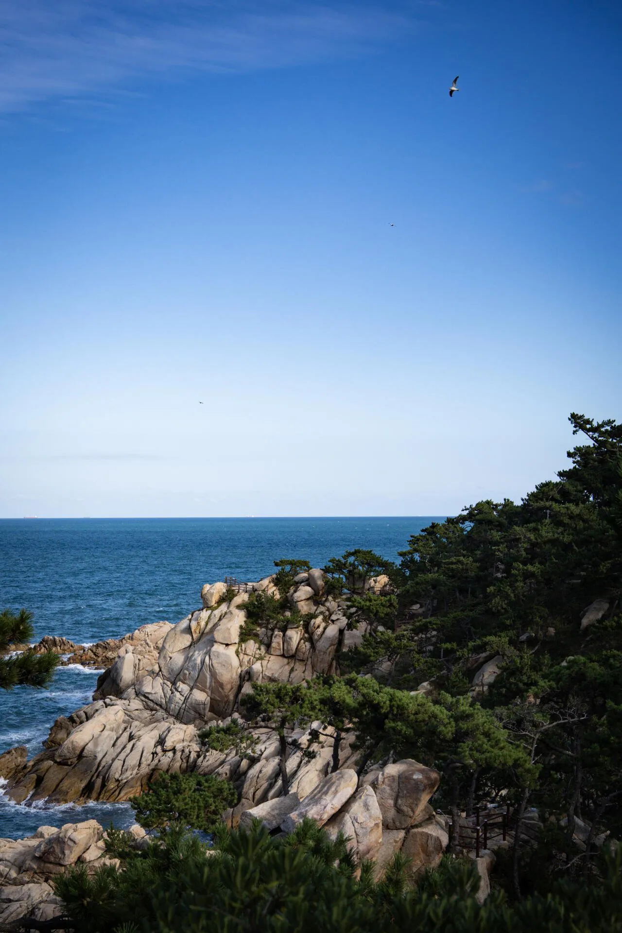 DSC03447.jpg 모든것이 완벽했던 인천팬의 울산원정 후기