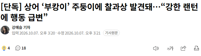 20261007_154602.png [단독] 상어 ‘부캉이’ 주둥이에 찰과상 발견돼…“강한 랜턴에 행동 급변”