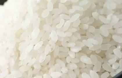 _쌀밥🍚 먹지 마!!! 빵🍞먹어!!!_ - 유렉카 채널 020.png.ren.webp "혼분식 장려 운동"에 대해 araboja