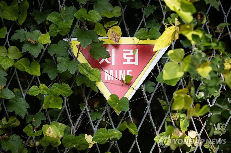 26402.jpg 속보]]]]] "北, DMZ 일대 지뢰 96만발 매설"