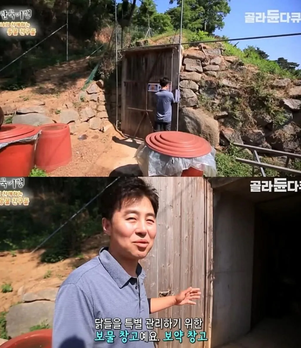 백숙집 차리려고 닭 키우기 시작한 부부의 최후