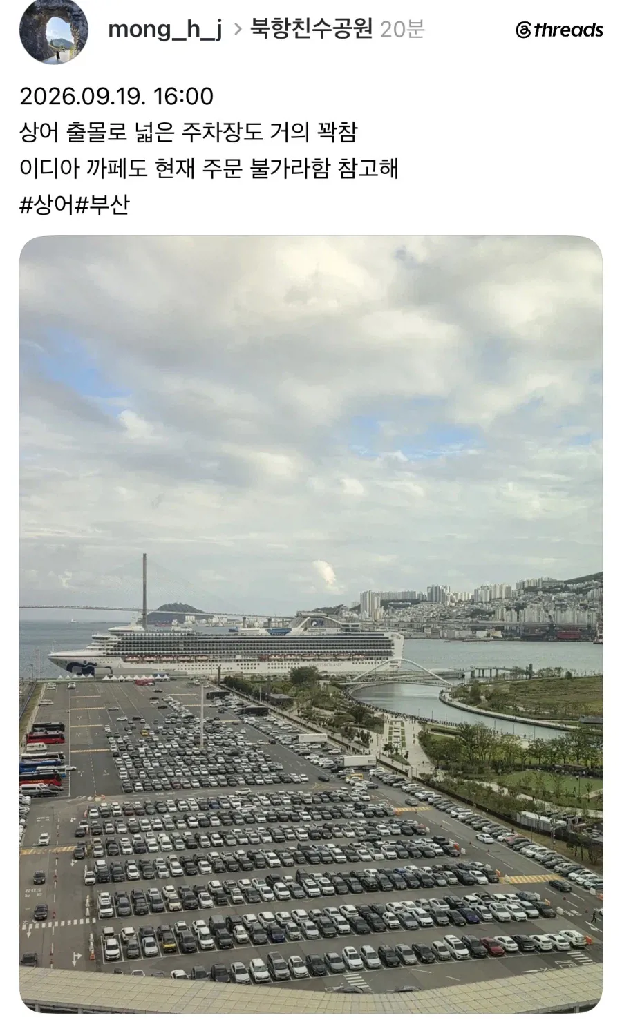 2.webp 부산 상어 특수.jpg