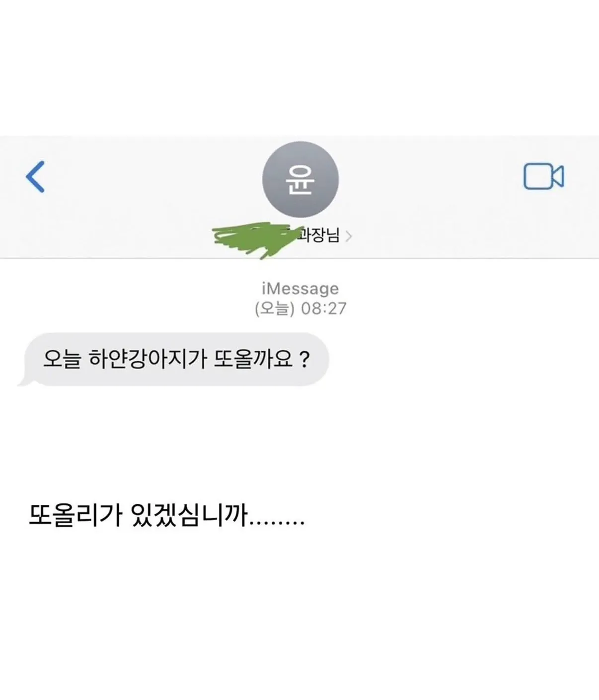 IMG_3159.jpeg 피치못할 사정으로 강쥐 데리고 출근했는데...jpg