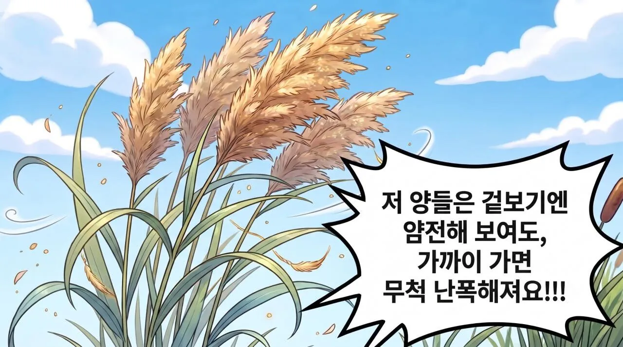 269.jpg 만화로 보는 그리스 로마 신화 - 사랑과 영혼, 프시케(5)