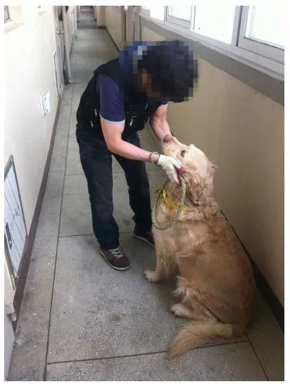 image.png 20대 여성 고독사 유품정리 후기.jpg