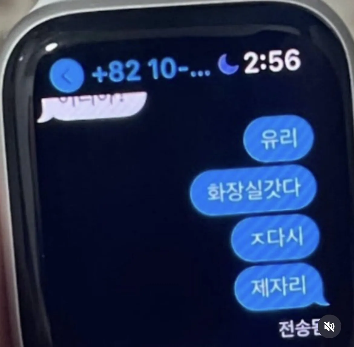 IMG_1460.jpeg 여자친구 애플워치를 몰래 본 남자친구.jpg