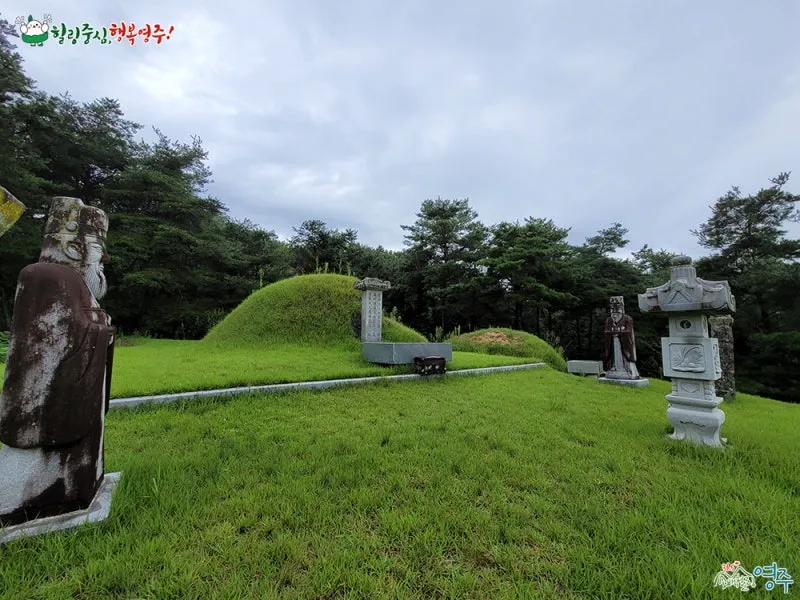 image.png [공식] 현재 정도전 때문에 난리난 영주시, 단양군 근황