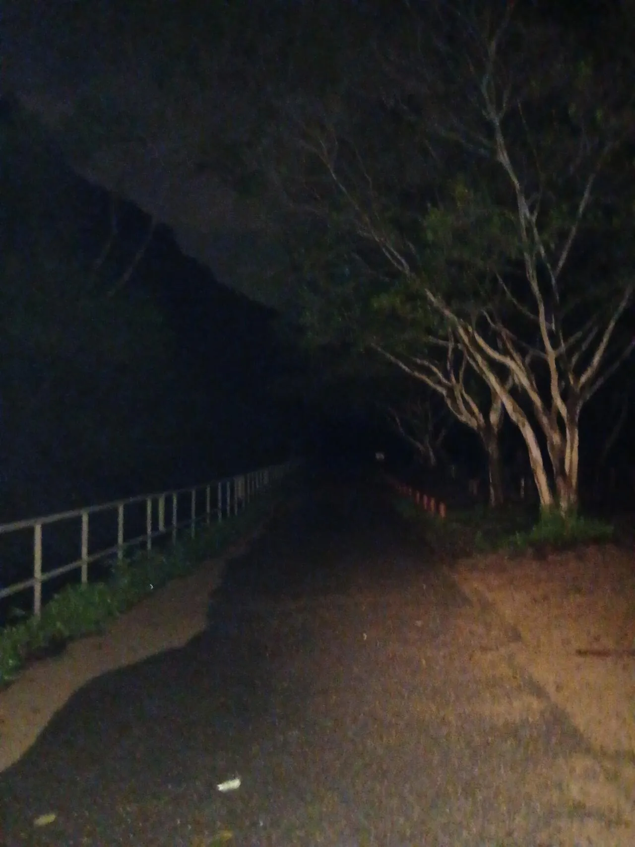 1000027309.jpg 혐주의) 2026 태국 뱀 탐사 작전 마지막