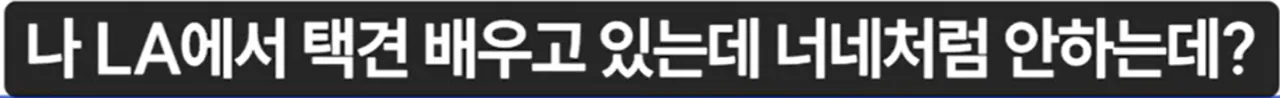image.png "하나의 유령이 택견계를 배회하고 있다. 윗대태껸이란 유령이."
