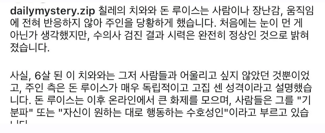실명인줄 알았던 강아지의 진실