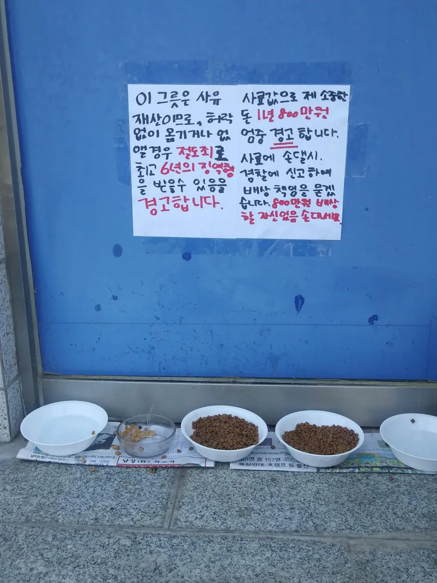 image.png 캣맘과의 전화통화 대참사.....mp4
