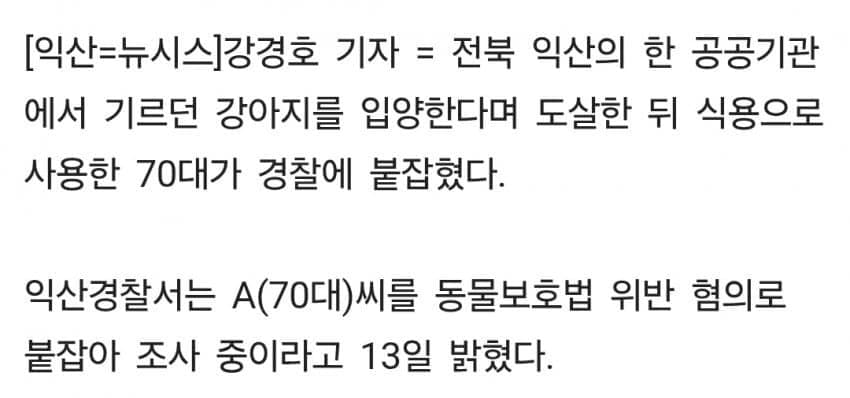image.png 약혐) 반려견 3마리를 분양받았던 70대 노인