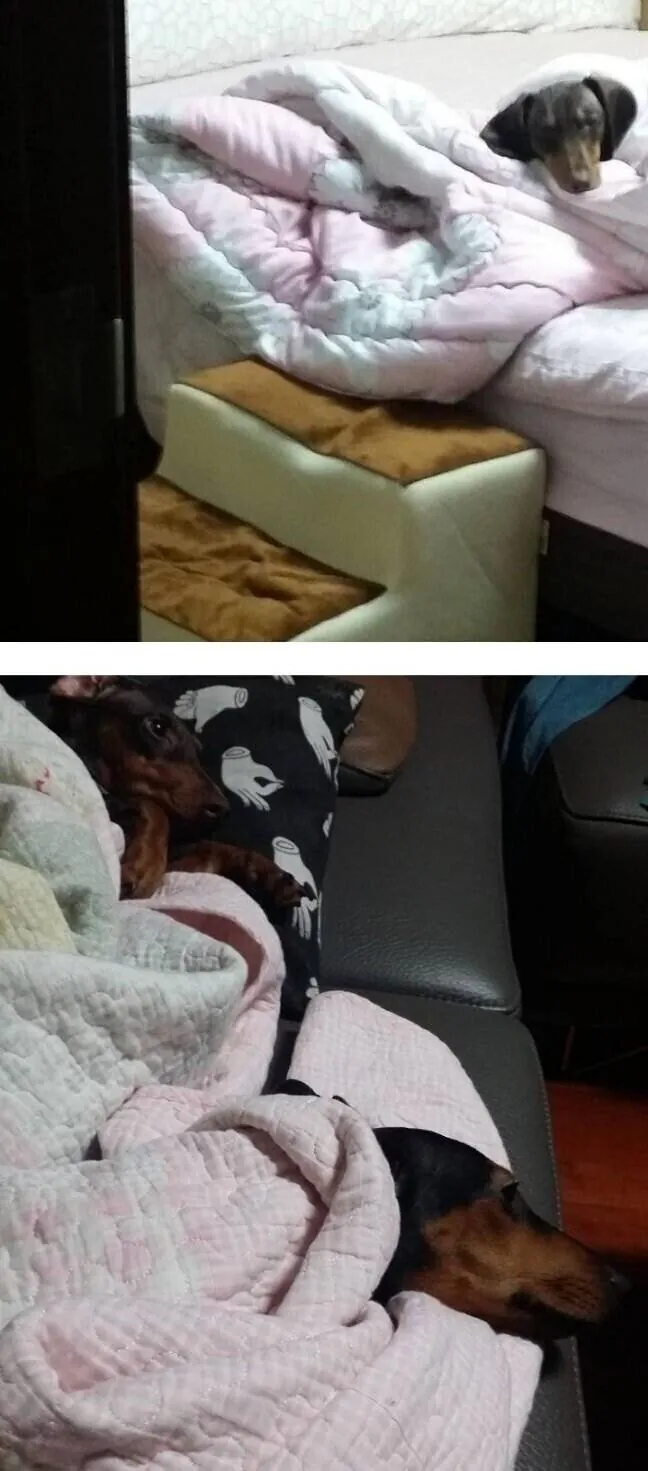 f5d72935440763e6a0c121ac2bc911b79c9f3cc0(3)_20260930_112737_146.jpg 개쩌는 박재범 안경 브랜드
