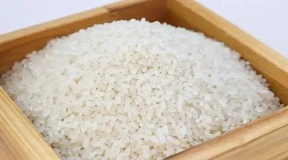 _쌀밥🍚 먹지 마!!! 빵🍞먹어!!!_ - 유렉카 채널 004.png.ren.webp "혼분식 장려 운동"에 대해 araboja
