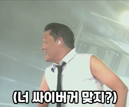 image.png 포텐간 싸이버거 공연 영상
