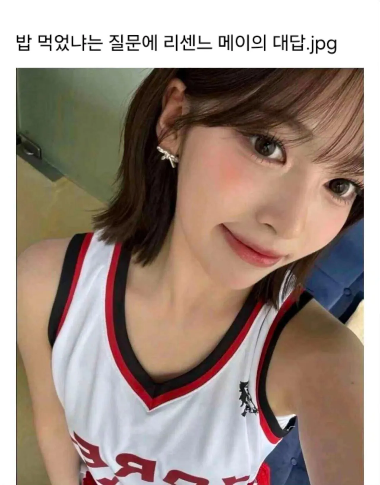 23132.jpg 밥먹었냐는 질문에 리센느 메이의 대답