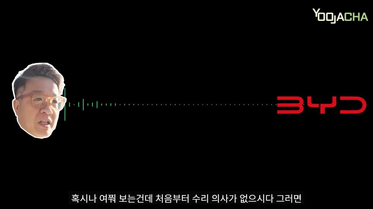 13.jpg BYD 돌핀 샀다가 전손사고 난 유튜버
