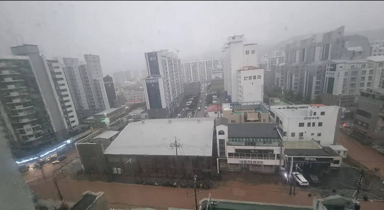 거제에묻혔는데 통영도 난리남.. 통영상황