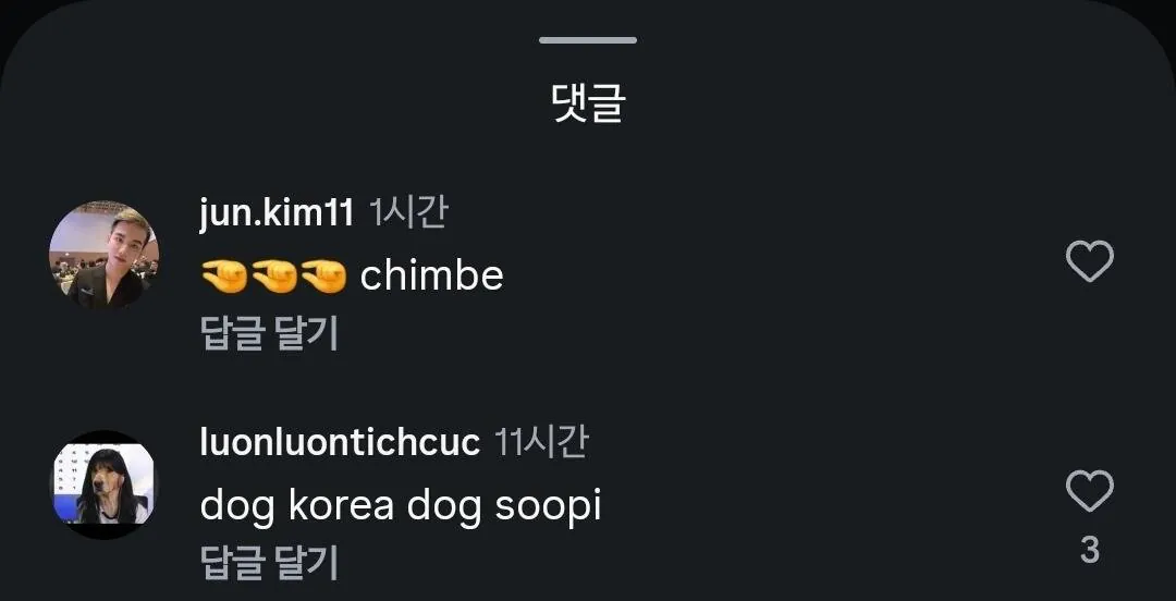 1000024018.jpg 뜬금없이 다른 스트리머의 인스타그램을 테러 중인 베트남인들.