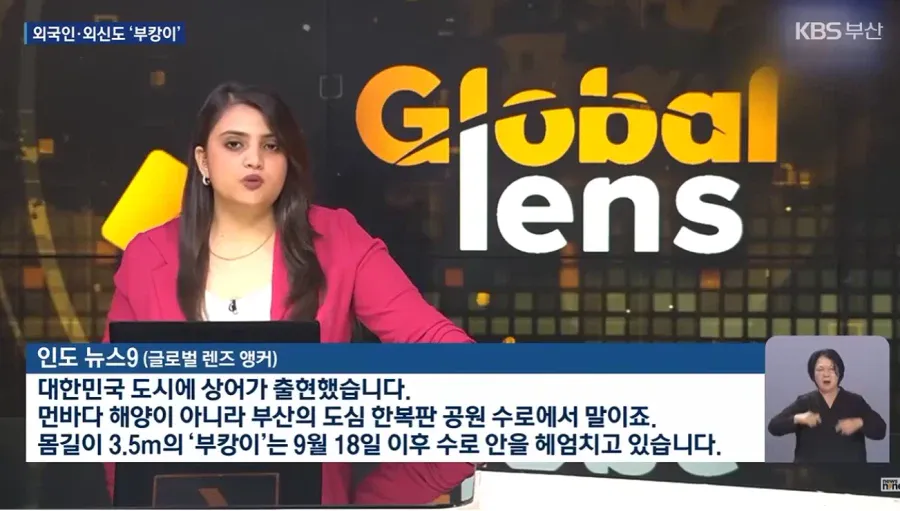4.webp 외신까지 타버린 부캉이 근황