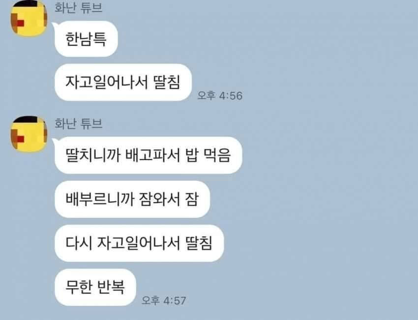 언냐가 말하는 ㅎㄴ특.jpg